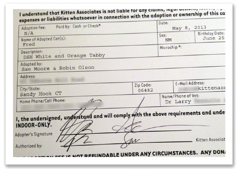 Adoption Contract R Olson.jpg