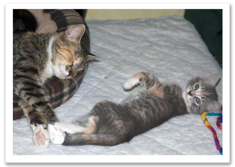 Callalily and Sunny R Olson.jpg