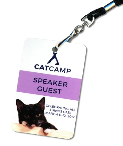 Cat Camp Badge 1000