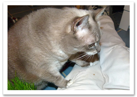 Climbin on Kats Lap copy.jpg