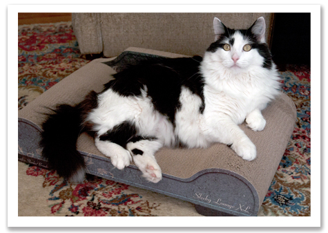 DOOD Posing R Olson.jpg