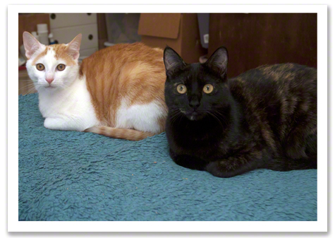 Fred and Latte R Olson.jpg