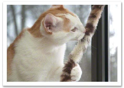 Fred with Toy copy.jpg