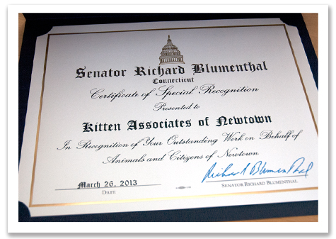 Full Certficate copy.jpg