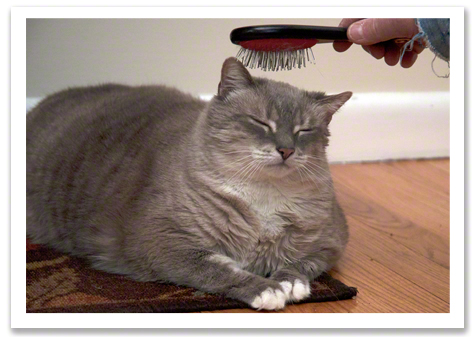 Happy Brush Girl R Olson copy.jpg