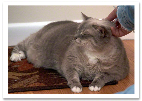 Lovin from Kath R Olson.jpg