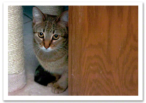 Scared Bunny boo boo R Olson.jpg
