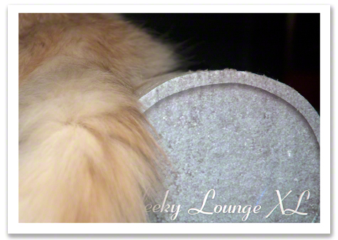 Tail and Logo R Olson.jpg