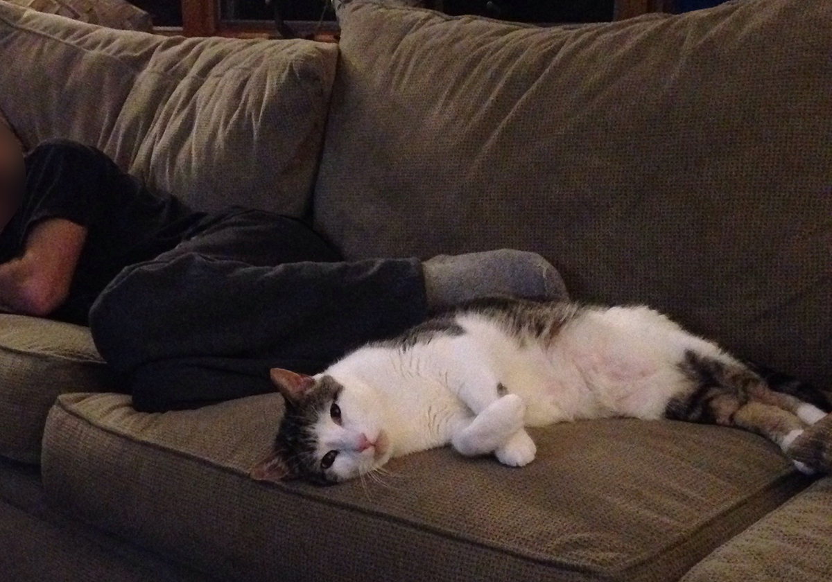 napping w dad.jpg